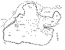 Map of dorothea.gif (8100 bytes)